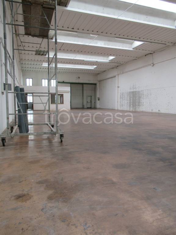 immagine annuncio 5 di 12