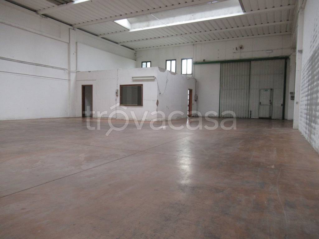 immagine annuncio 6 di 12