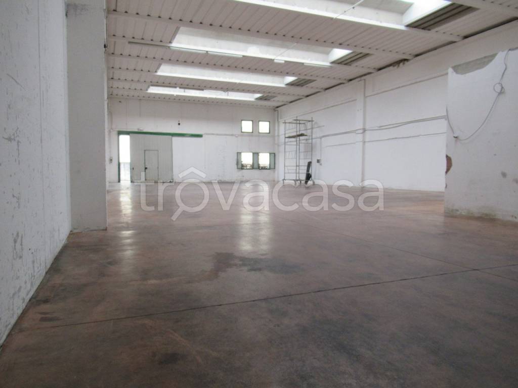 immagine annuncio 8 di 12