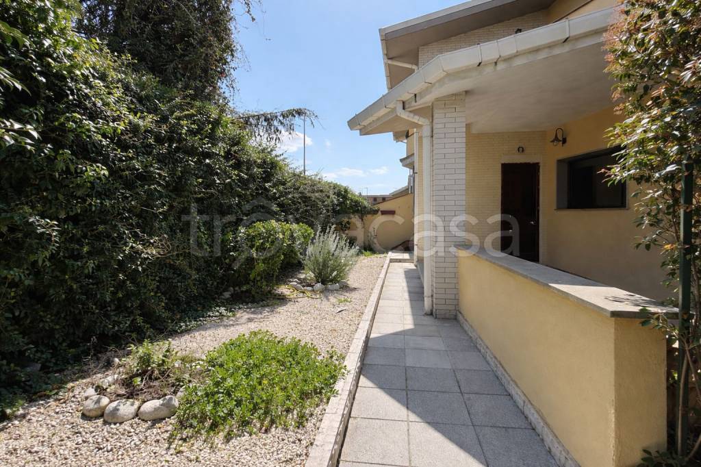 immagine annuncio 12 di 14