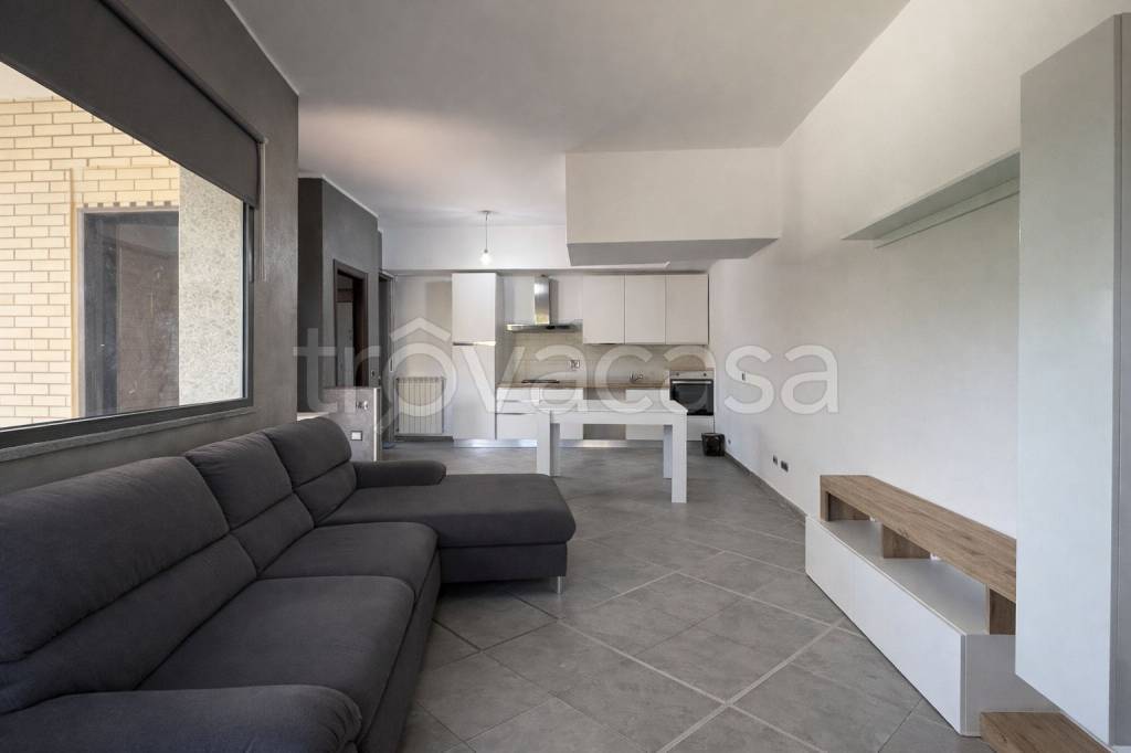 immagine annuncio 4 di 14