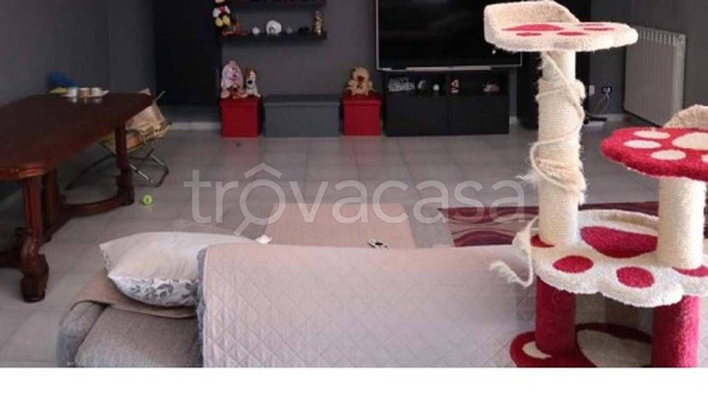 immagine annuncio 7 di 12