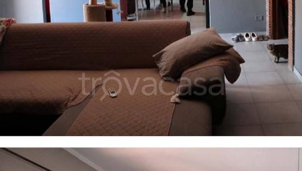 immagine annuncio 8 di 12