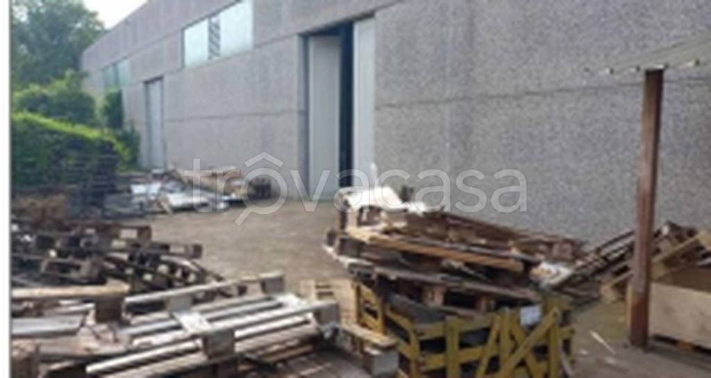 immagine annuncio 3 di 11