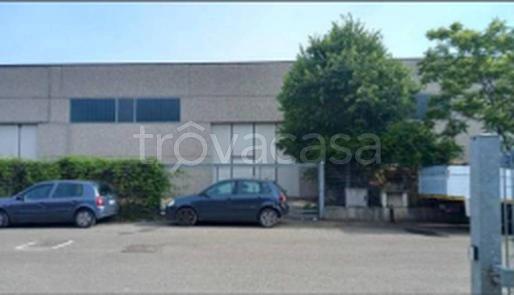 immagine annuncio 4 di 11