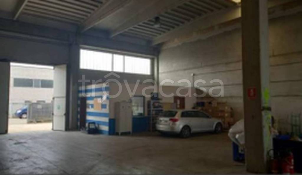 immagine annuncio 5 di 11