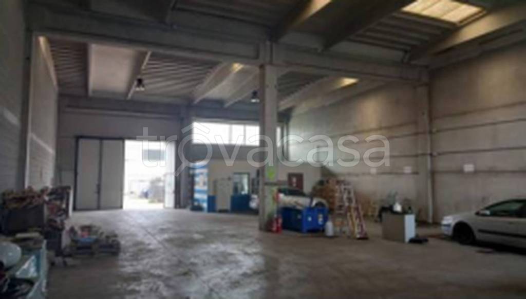 immagine annuncio 6 di 11