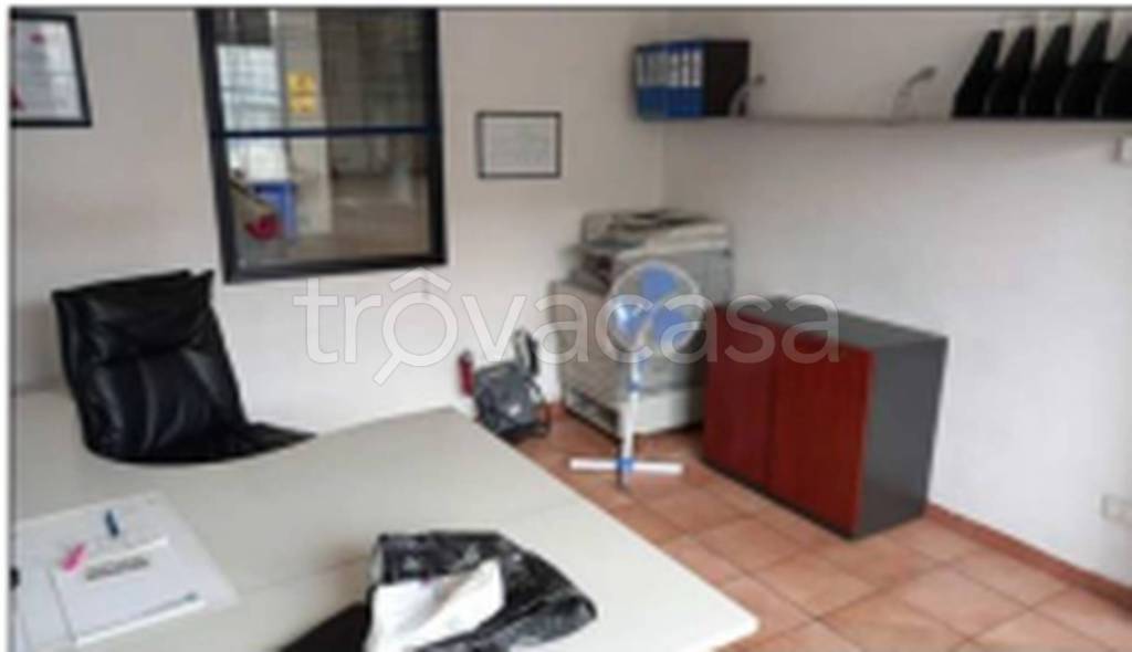 immagine annuncio 7 di 11