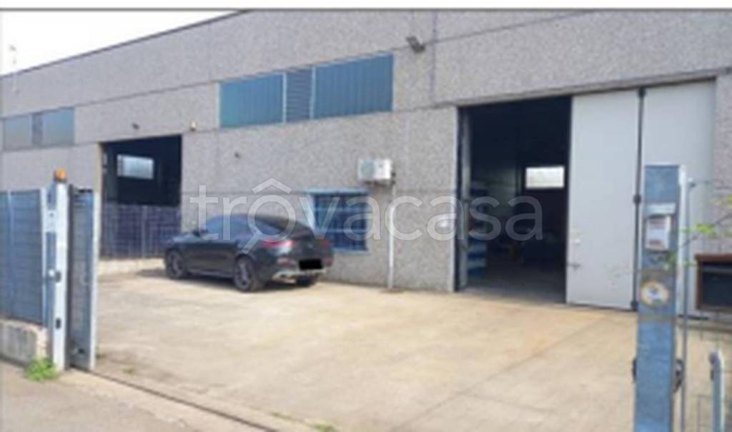 immagine annuncio 8 di 11