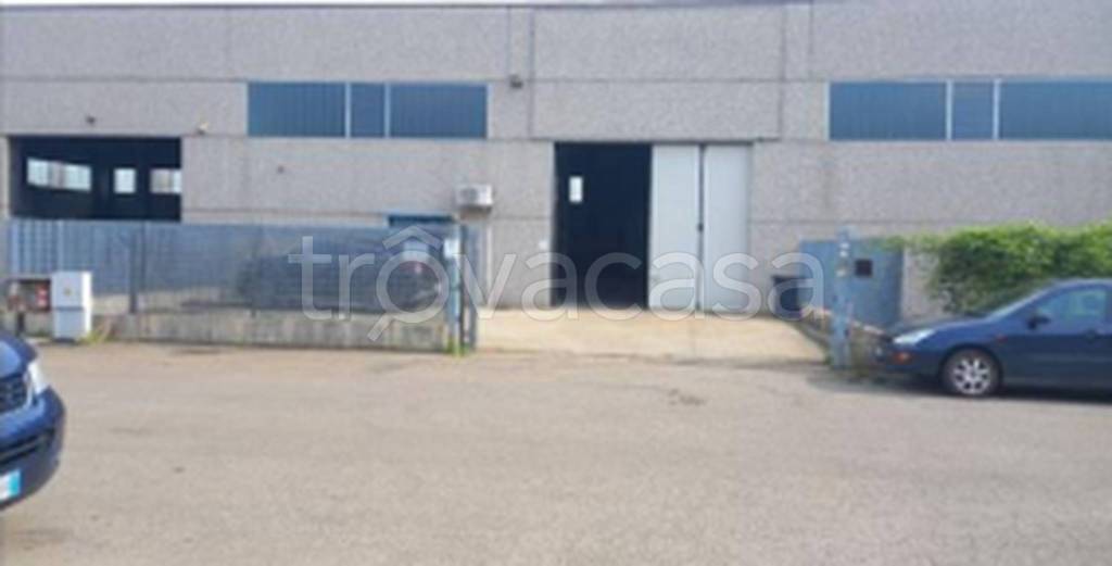 immagine annuncio 9 di 11