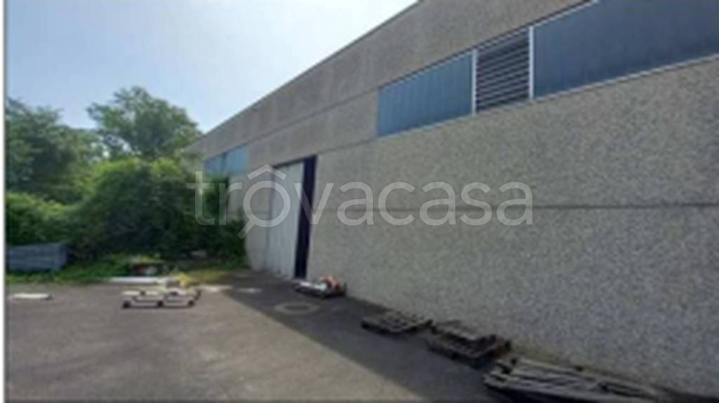 immagine annuncio 10 di 11