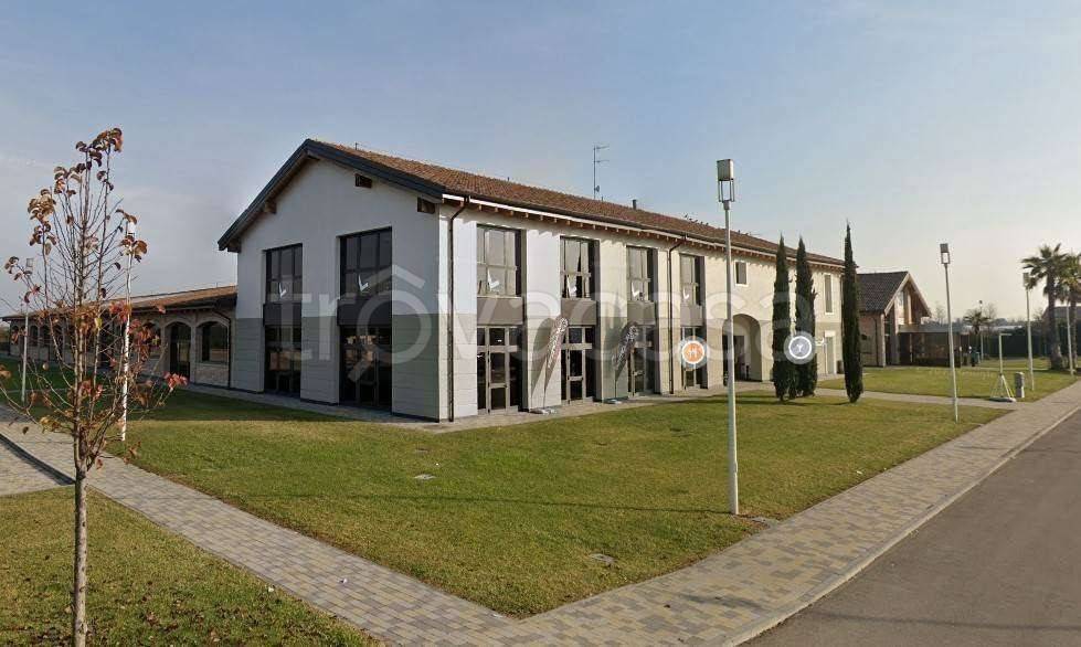 immagine annuncio 10 di 11