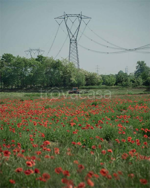 immagine annuncio 8 di 12
