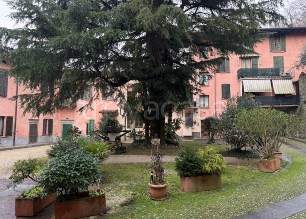 immagine annuncio 11 di 12