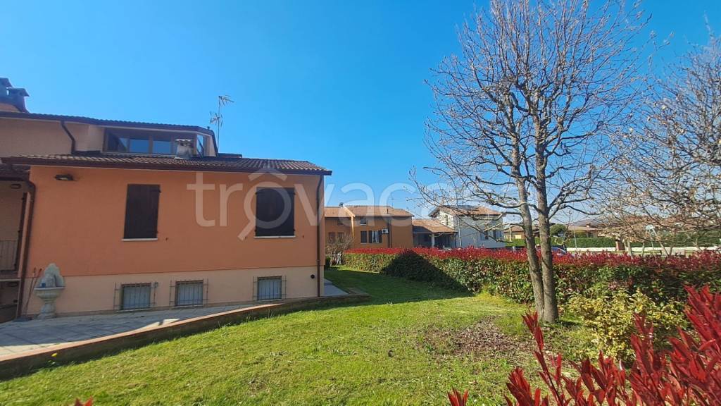 immagine annuncio 9 di 15