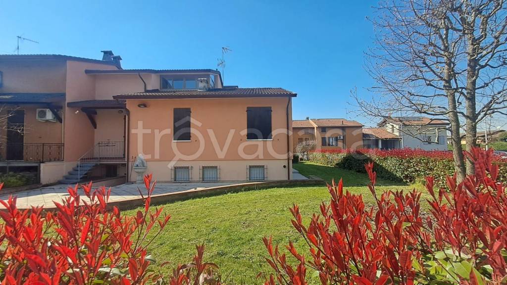 immagine annuncio 6 di 15