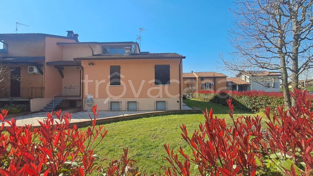 immagine annuncio 3 di 15