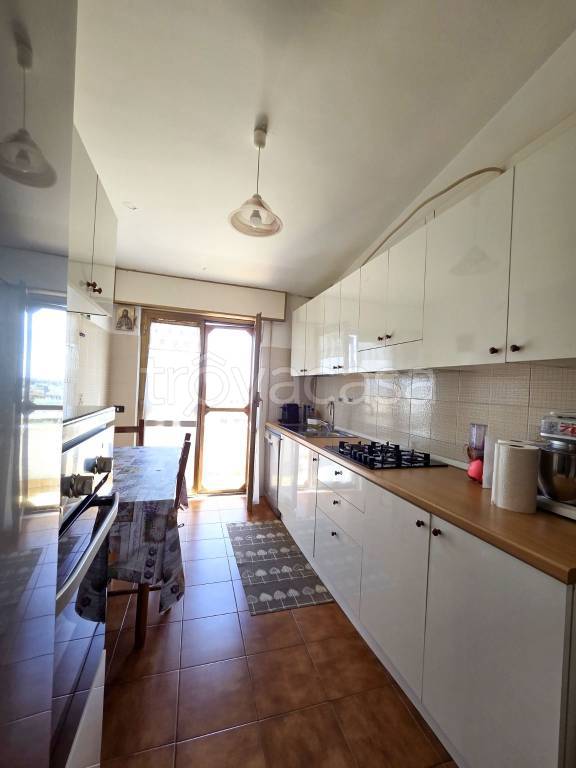 immagine annuncio 5 di 12