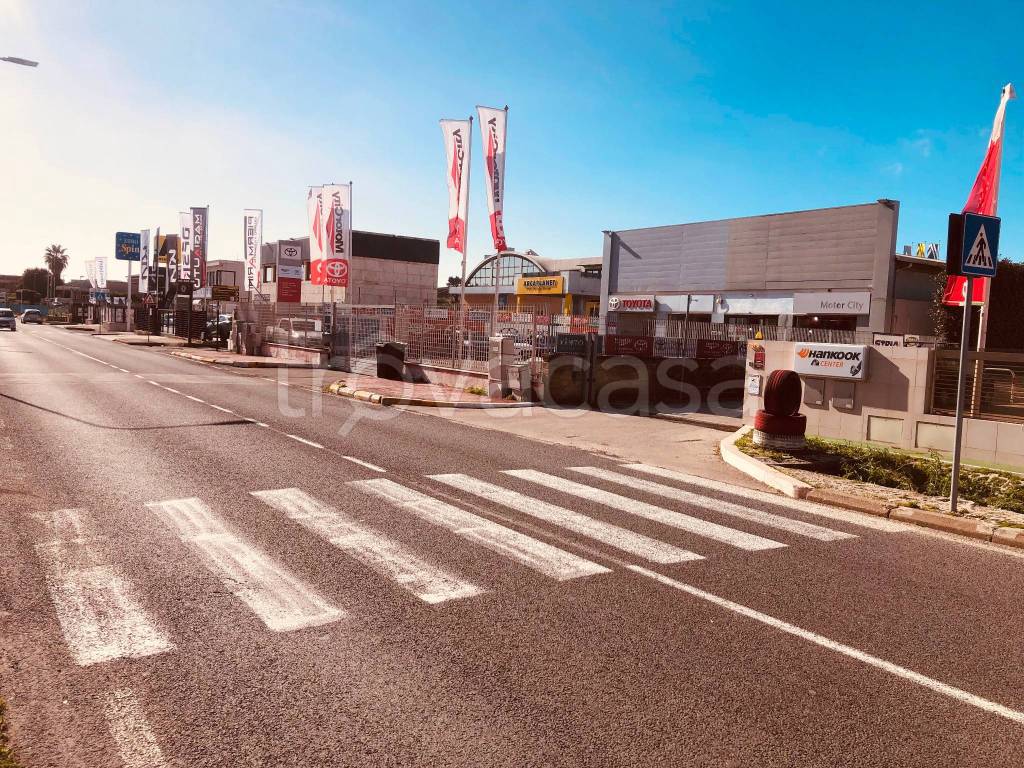 immagine annuncio 9 di 12