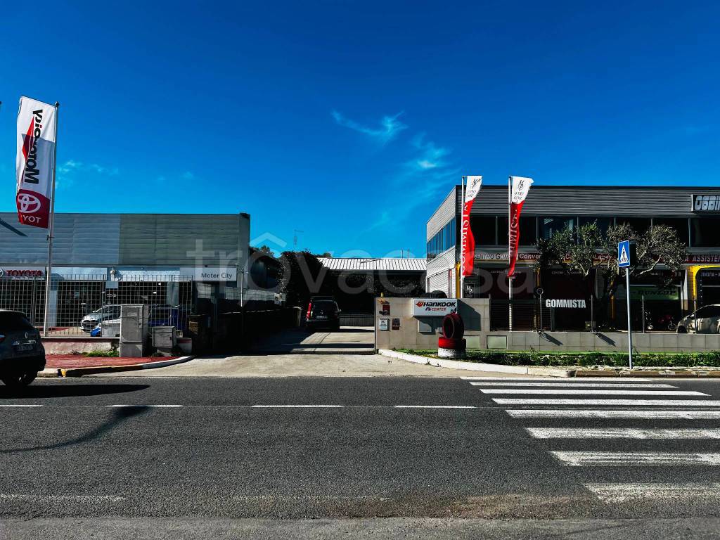 immagine annuncio 2 di 12