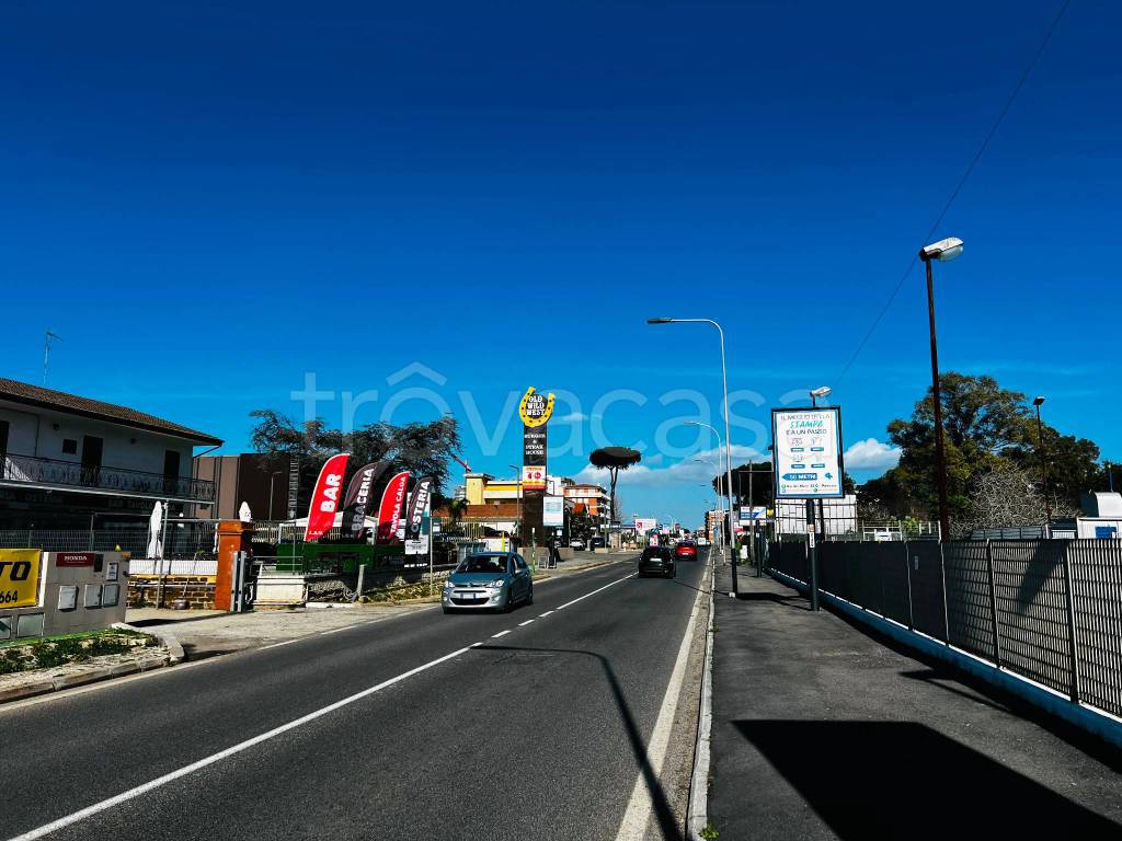 immagine annuncio 6 di 12