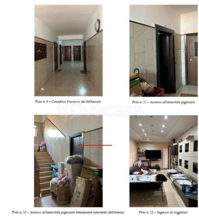 immagine annuncio 3 di 13