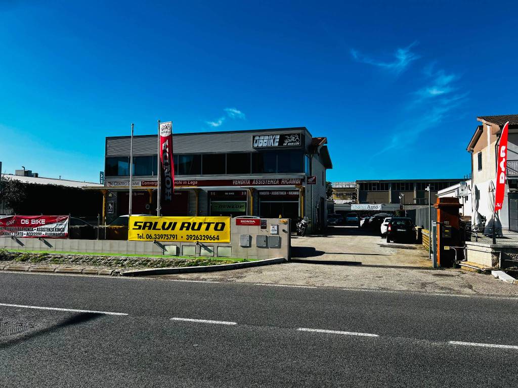 immagine annuncio 5 di 12