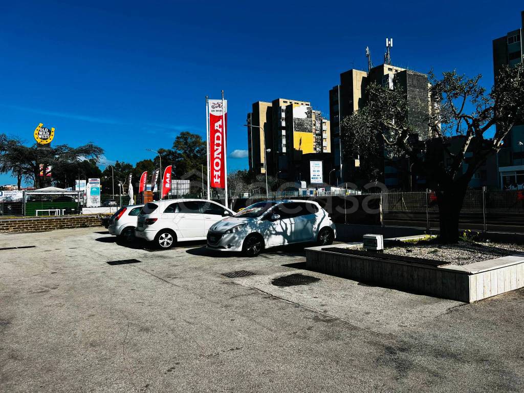 immagine annuncio 3 di 12