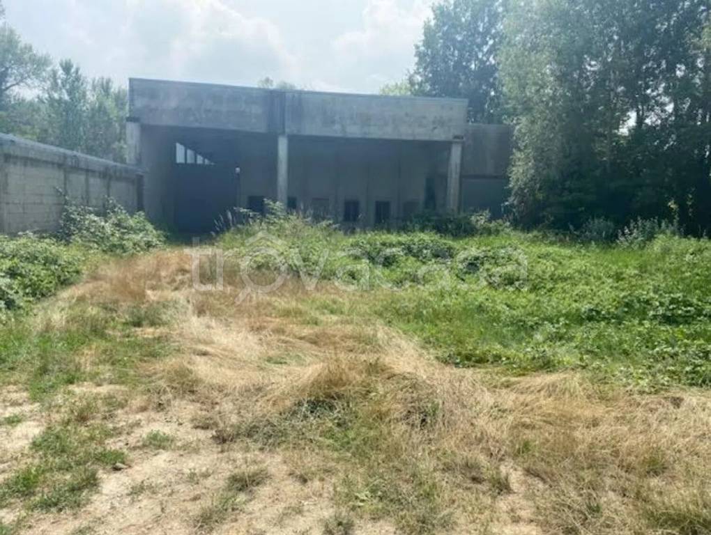 immagine annuncio 1 di 6