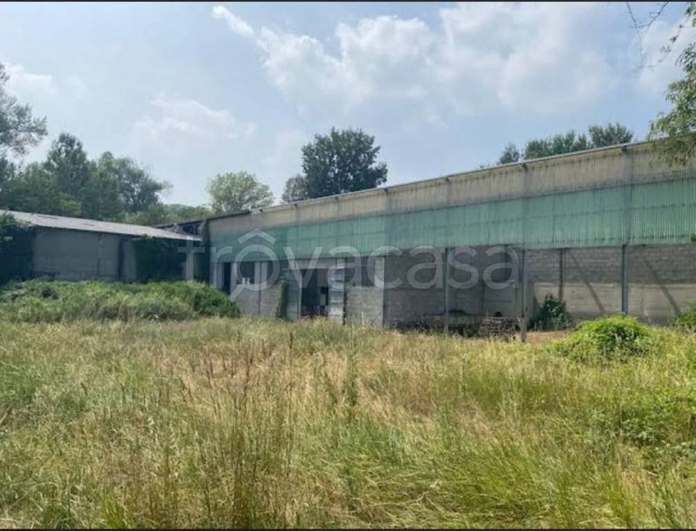 immagine annuncio 2 di 6