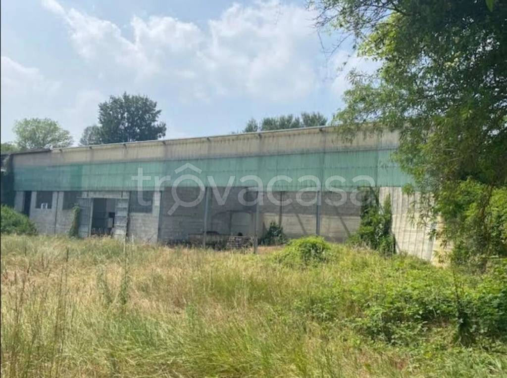 immagine annuncio 3 di 6