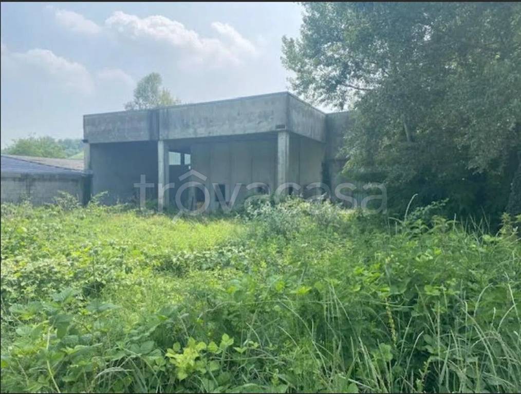 immagine annuncio 4 di 6