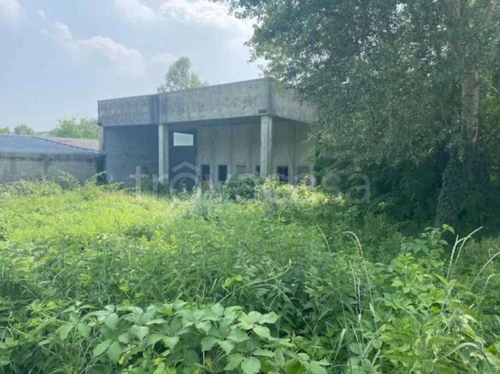 immagine annuncio 5 di 6