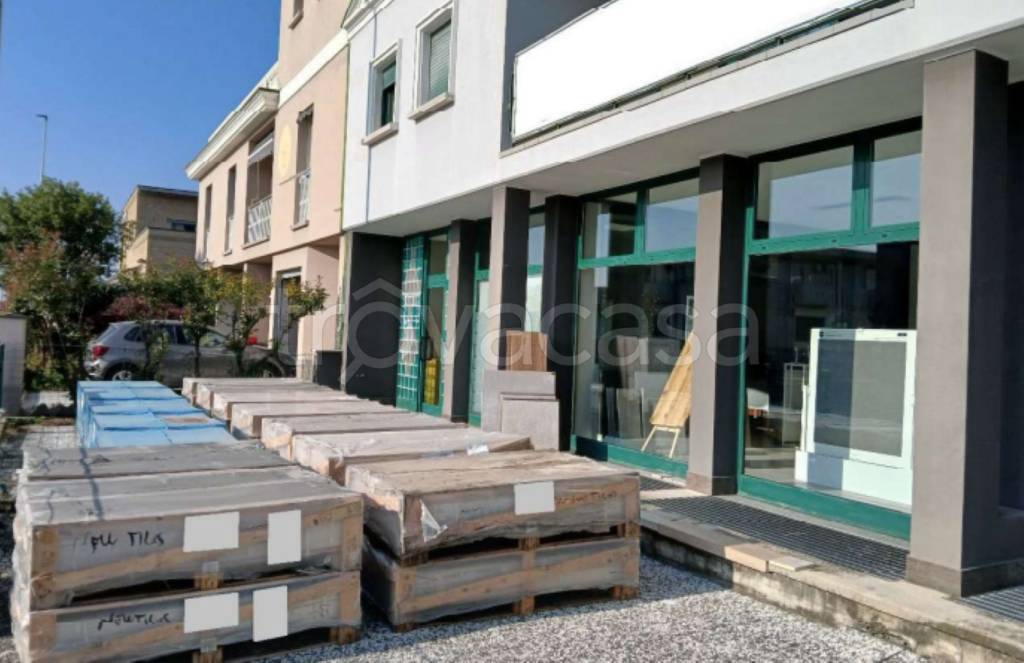 immagine annuncio 11 di 12