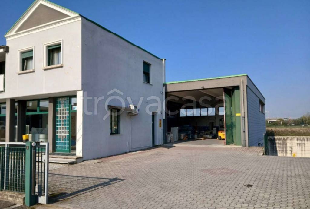 immagine annuncio 2 di 12