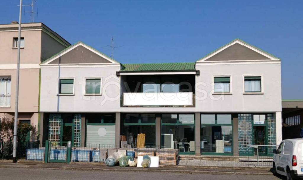 immagine annuncio 3 di 12