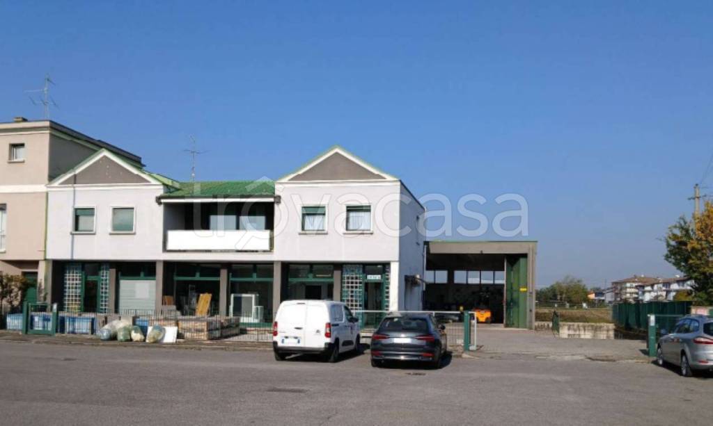 immagine annuncio 4 di 12