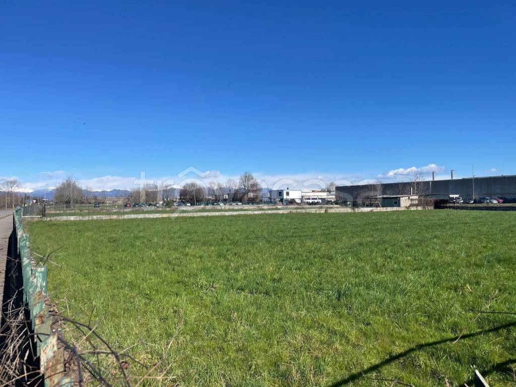 immagine annuncio 2 di 4