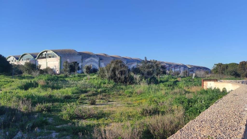 immagine annuncio 6 di 11