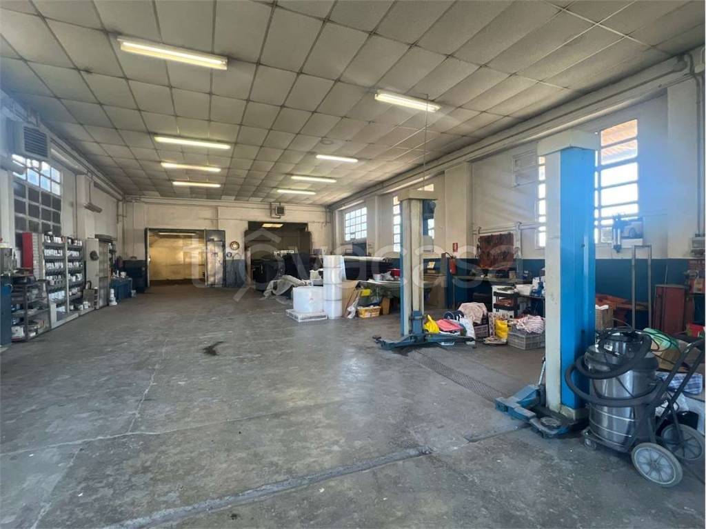 immagine annuncio 6 di 15