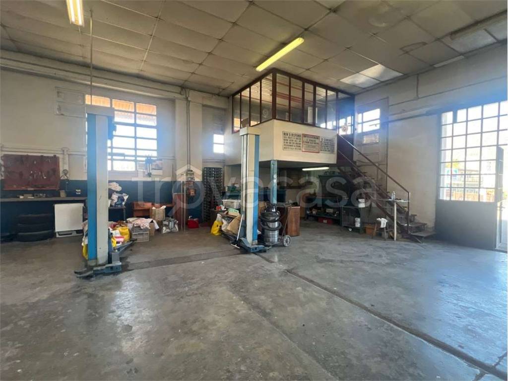 immagine annuncio 9 di 15