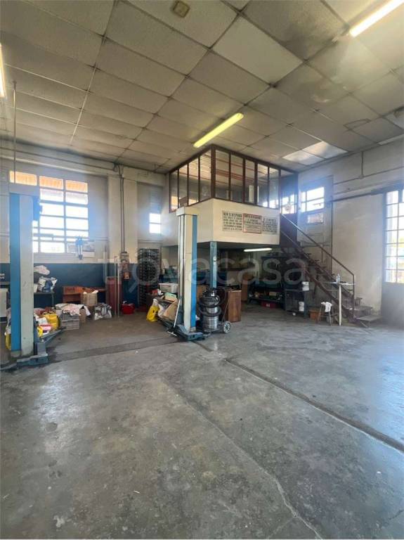 immagine annuncio 12 di 15