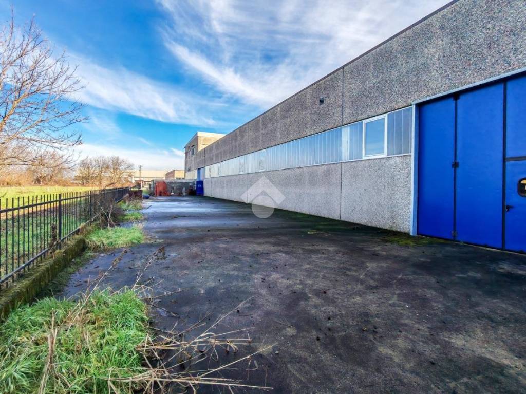 immagine annuncio 5 di 15