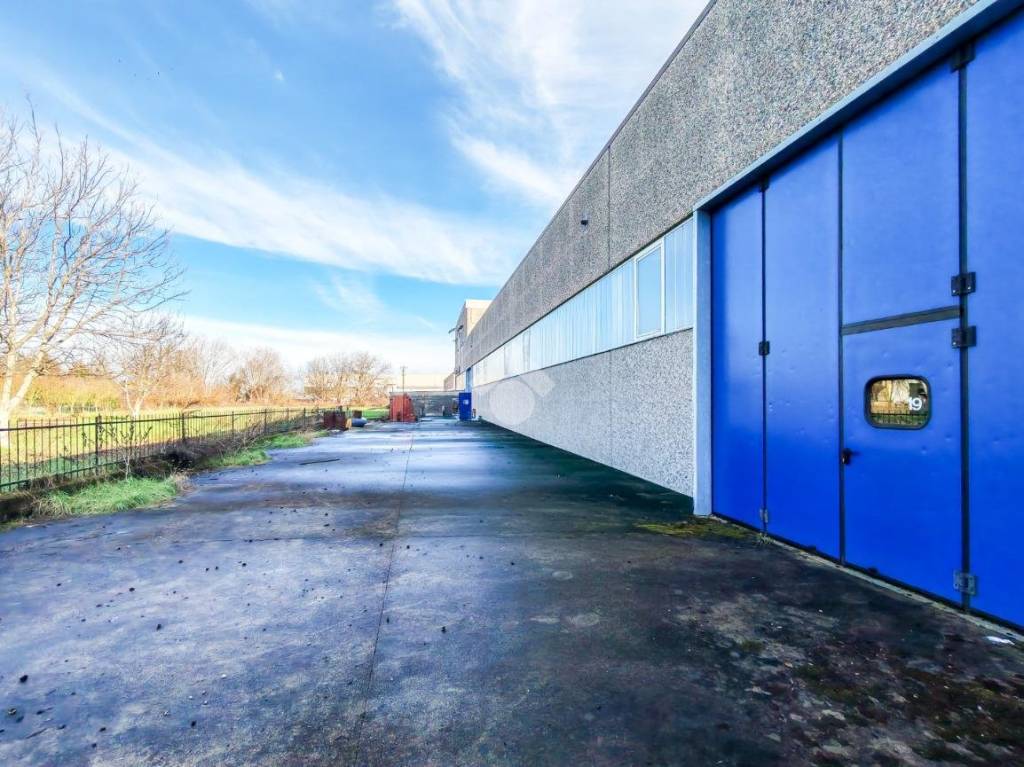 immagine annuncio 10 di 15