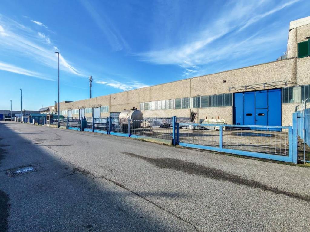 immagine annuncio 11 di 15