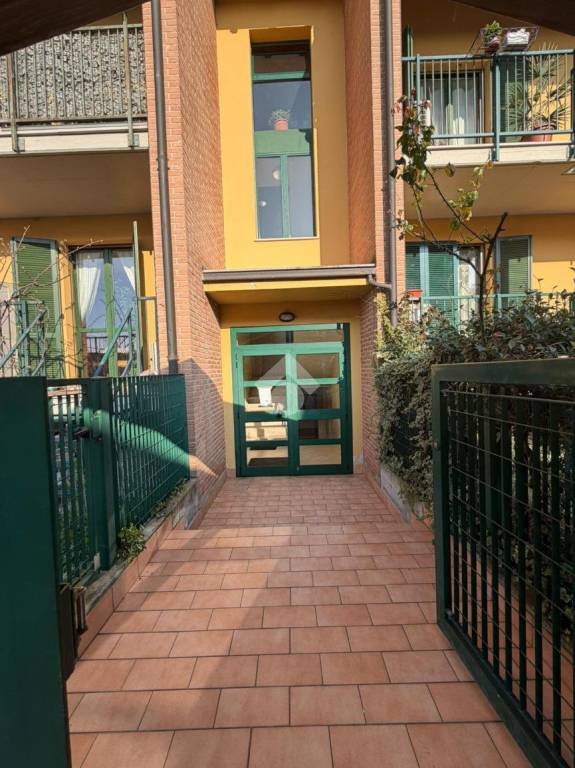 immagine annuncio 5 di 15