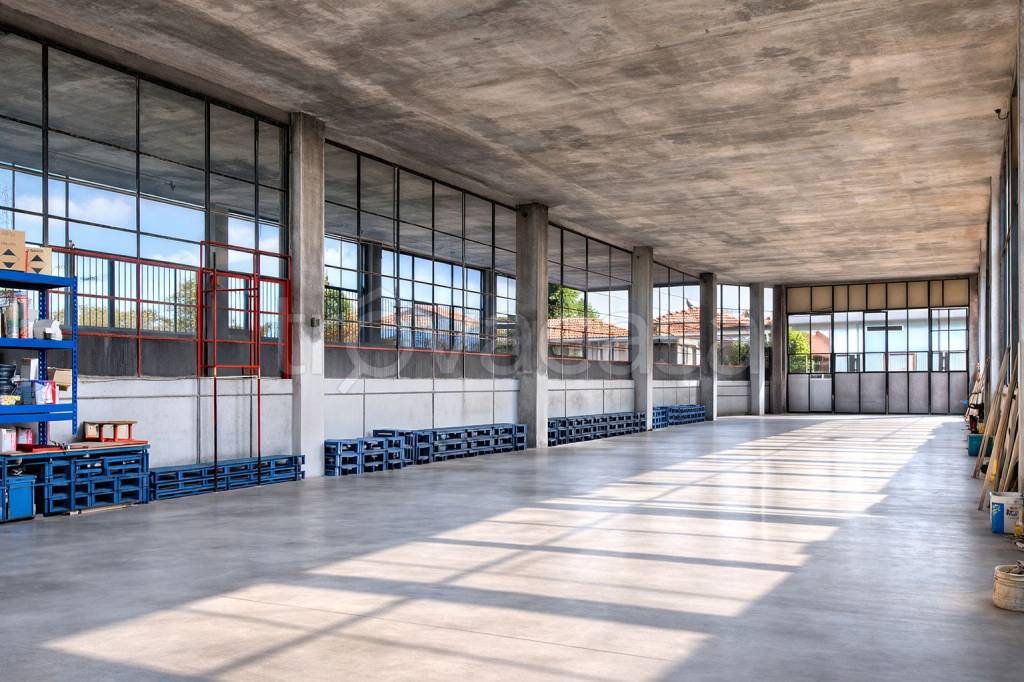 immagine annuncio 11 di 12