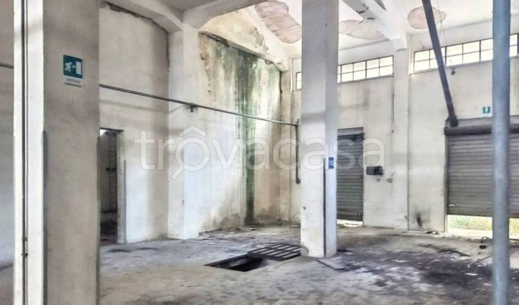 immagine annuncio 7 di 11