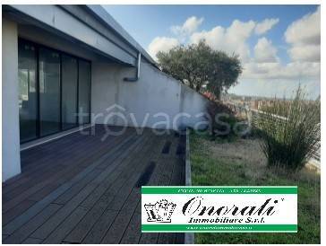 immagine annuncio 4 di 6