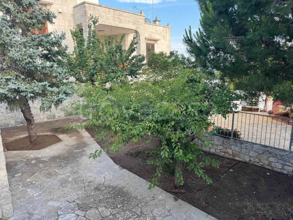 immagine annuncio 11 di 14